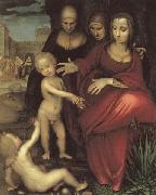 YANEZ DE LA ALMEDINA, Fernando St.Anne,the Virgin;St Elizabeth,St,john,and the Christ Child oil on canvas